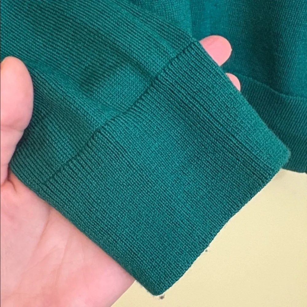 Banana Republic | Green Unisex Merino Wool V-Neck Knit Long Sleeve Sweater M